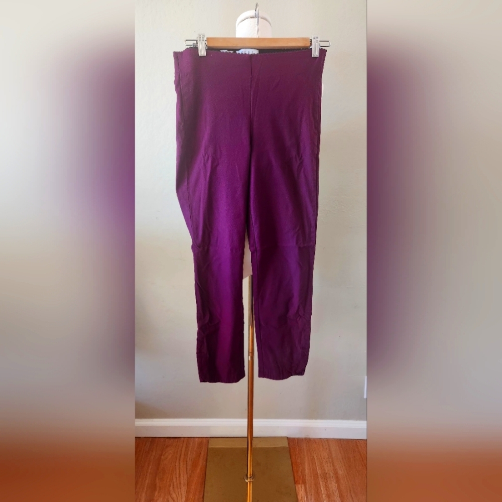 Elle Pull-On Skinny Fit Ankle Dress Pant Size M